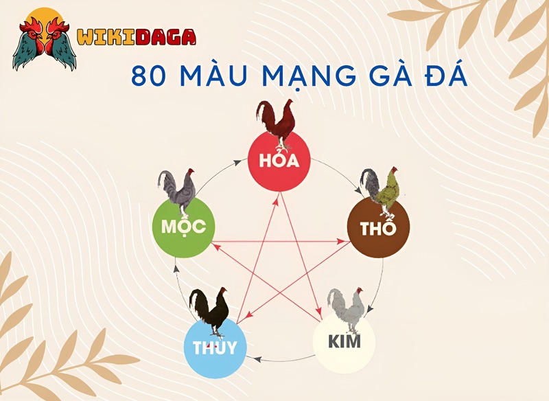 80 màu mạng gà đá gồm những màu gì