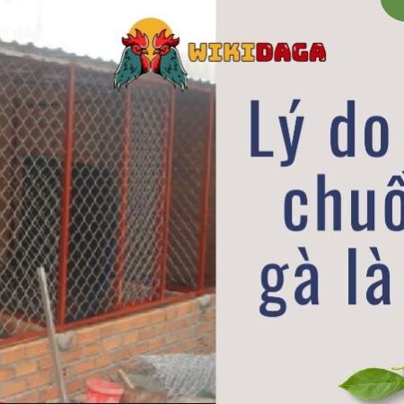 Cách làm chuồng gà bằng sắt V lỗ nhanh, đẹp mà tiết kiệm