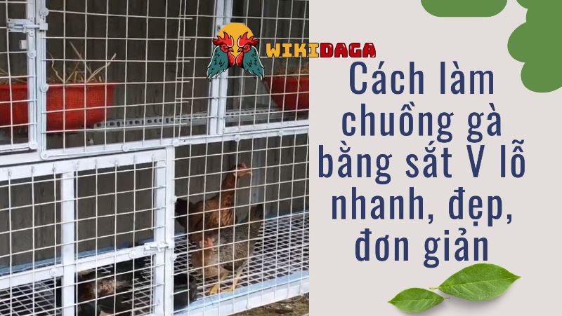 Cách làm chuồng gà bằng sắt V lỗ chi tiết