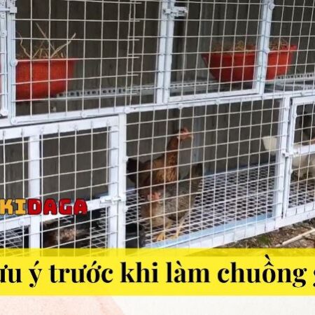 Cách làm chuồng gà đơn giản, tiết kiệm chi phí tại nhà