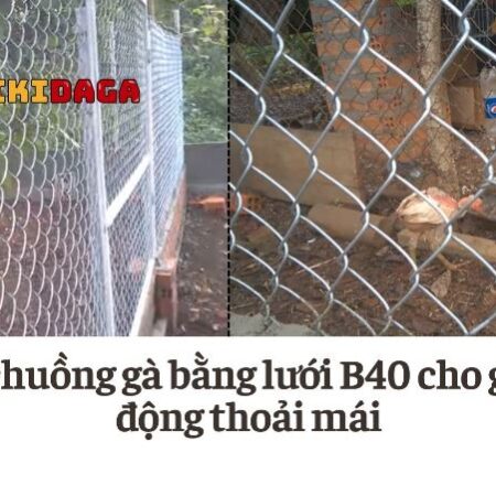Cách làm chuồng gà bằng lưới B40 cực đơn giản chưa đến 1 ngày