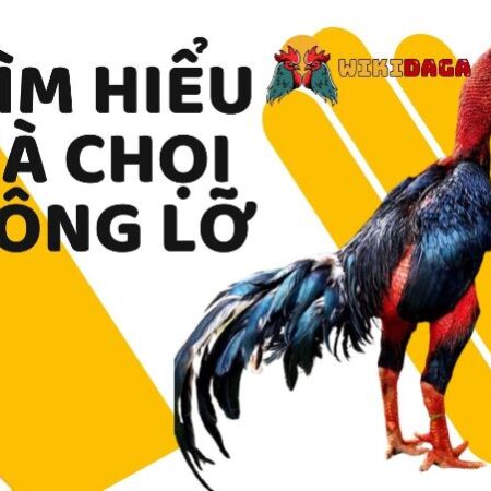 Nhận biết gà chọi lông lỡ và cách giúp gà thay lông nhanh