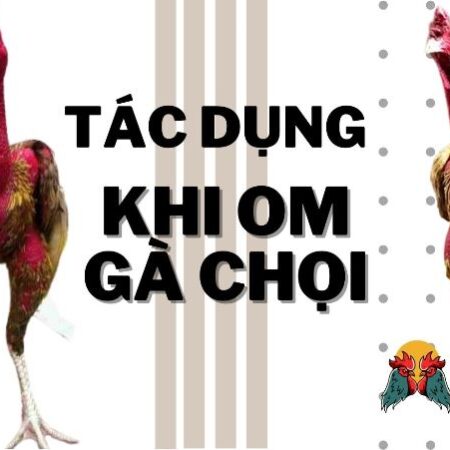 Các bước om gà chọi đỏ đẹp đúng kỹ thuật đơn giản nhất
