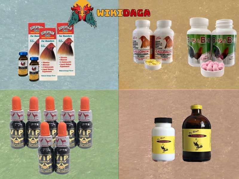 Dùng các loại thuốc tăng lực cho gà chọi hợp lý