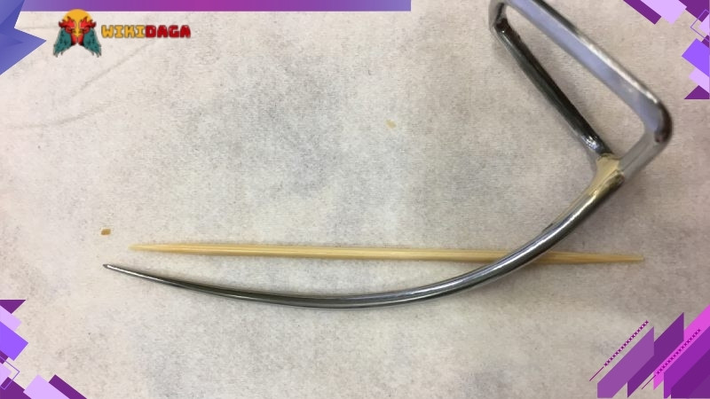 Cựa gà siêu thông là gì?