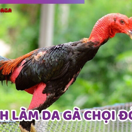 Gợi Ý Cách Làm Da Gà Chọi Đỏ Hiệu Quả Và An Toàn Nhất